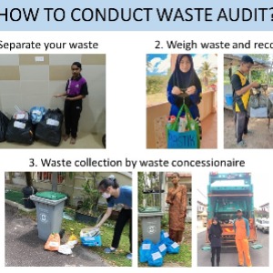 Waste Audit 